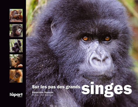 Emprunter Sur les pas des grands singes livre