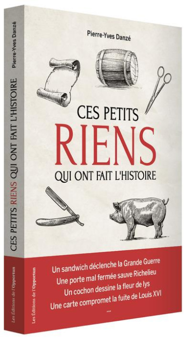 Emprunter Ces petits riens qui ont fait l'histoire de France. Hasards, coïncidences et malchances, de Jules Cé livre