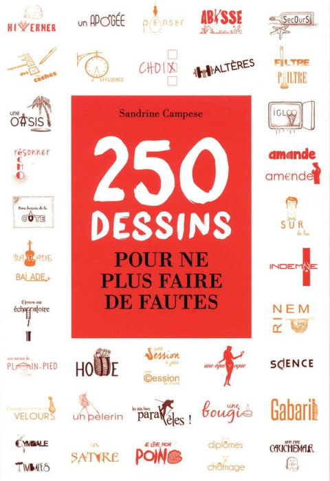 Emprunter 250 dessins pour ne plus faire de fautes livre