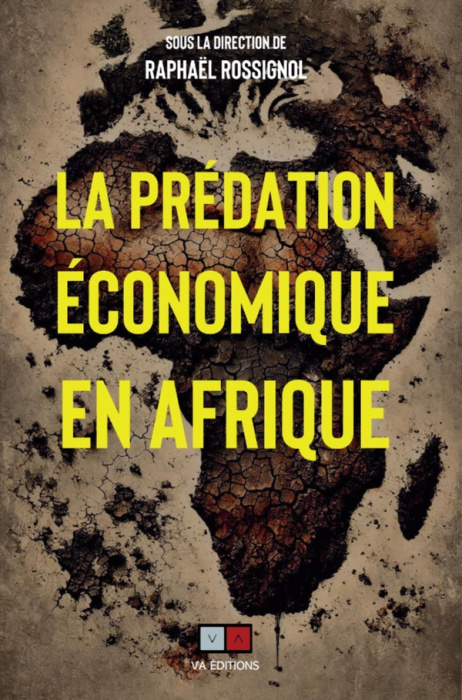 Emprunter La prédation économique en Afrique livre