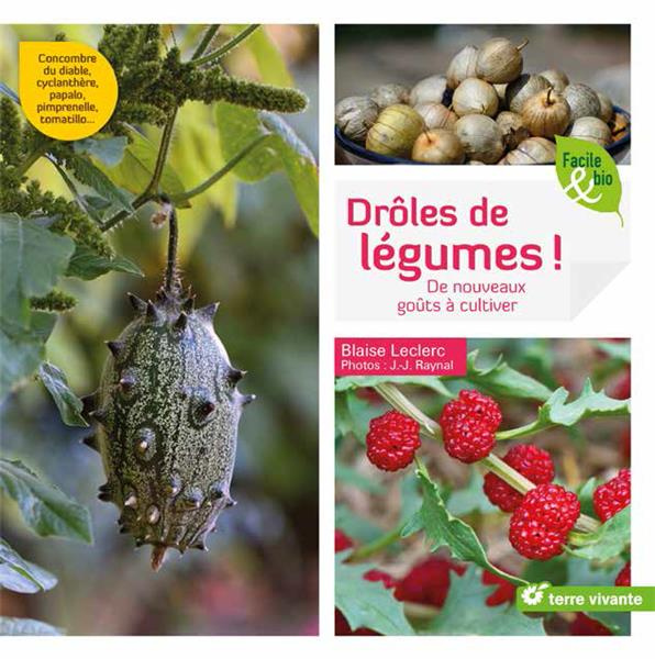 Emprunter Drôles de légumes ! De nouveaux goûts à cultiver livre