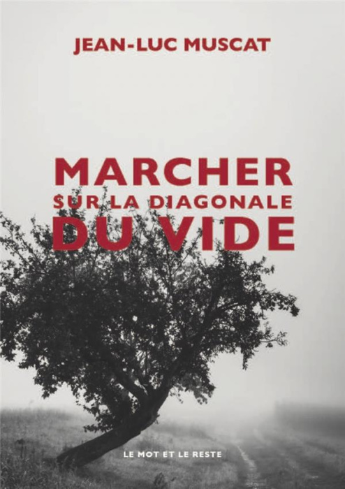 Emprunter Marcher sur la diagonale du vide livre