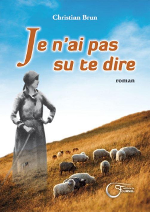 Emprunter Je n'ai pas su te dire livre