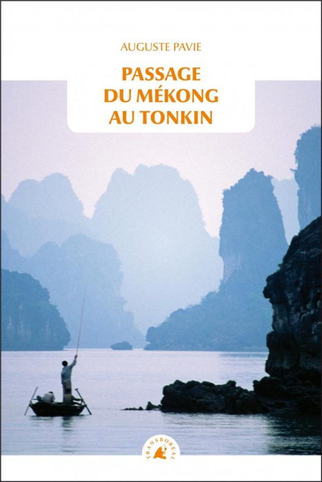 Emprunter PASSAGE DU MEKONG AU TONKIN livre