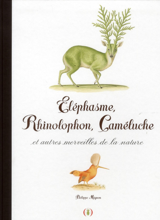 Emprunter Eléphasme, Rhinolophon, Caméluche et autres merveilles de la nature livre