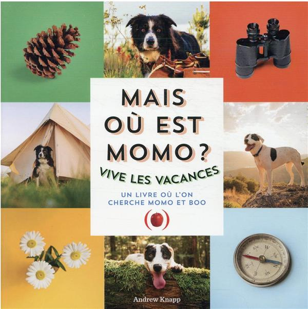 Emprunter Mais où est Momo ? : Vive les vacances livre