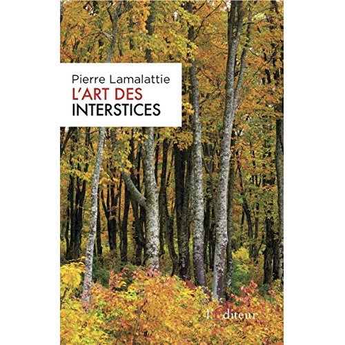 Emprunter L'art des interstices livre