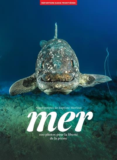 Emprunter MER - 100 PHOTOS POUR LA LIBERTE DE LA PRESSE livre