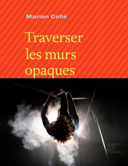 Emprunter Traverser les murs opaques livre