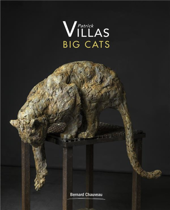 Emprunter Big Cats livre