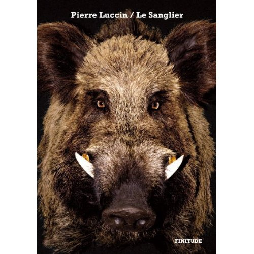 Emprunter Le Sanglier livre