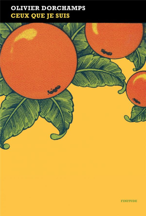 Emprunter Ceux que je suis livre