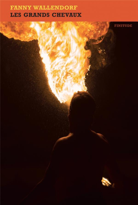 Emprunter Les grands chevaux livre