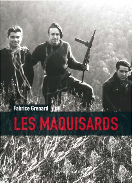 Emprunter Les Maquisards. Combattre dans la France occupée livre