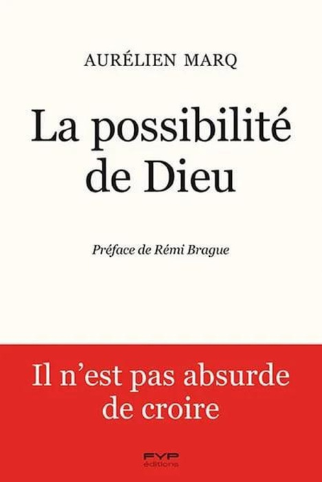 Emprunter La possibilité de Dieu. Il n'est pas absurde de croire livre