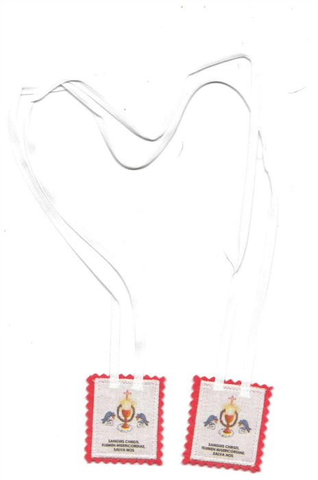 Emprunter SCAPULAIRE DU PRÉCIEUX SANG - D606 livre