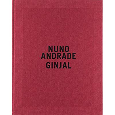 Emprunter Ginjal. Prix HSBC pour la photographie, Edition bilingue français-anglais livre