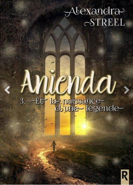 Emprunter Anienda Tome 3 : Et la naissance d'une légende livre