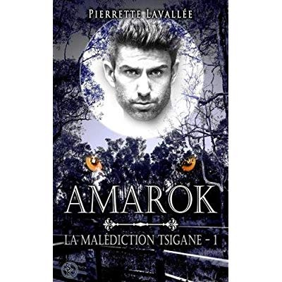 Emprunter La malédiction tsigane Tome 1 : Amarock livre