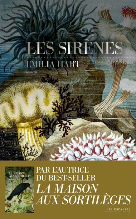 Emprunter Les sirènes livre