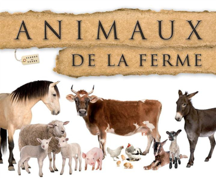 Emprunter ANIMAUX DE LA FERME livre