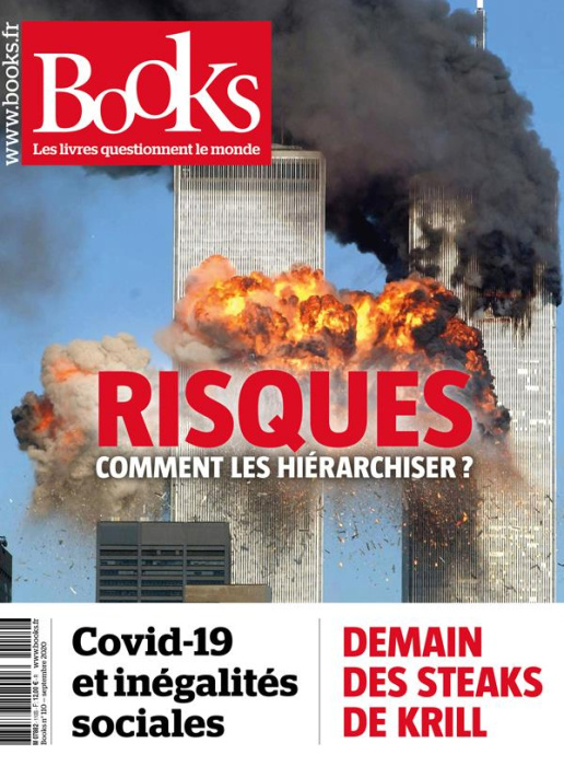 Emprunter Books N° 110, septembre 2020 : Risques. Comment les hiérarchiser ? livre