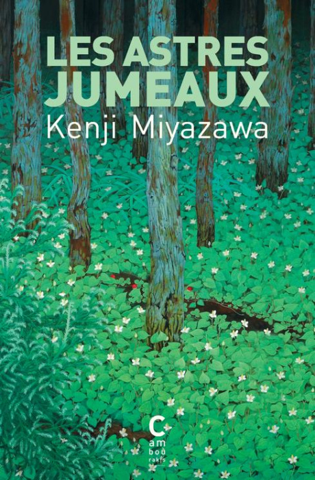 Emprunter Les astres jumeaux livre