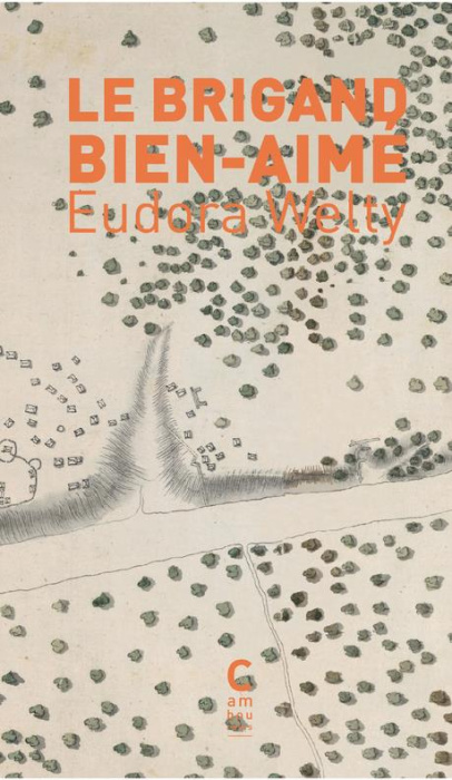 Emprunter Le brigand bien-aimé livre