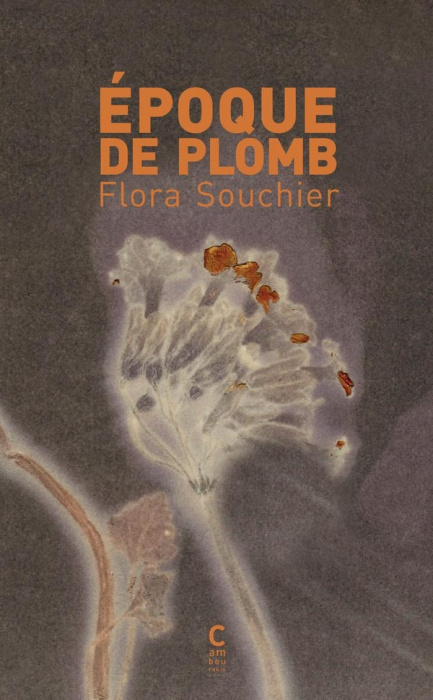Emprunter Epoque de plomb livre