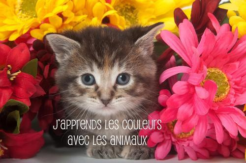 Emprunter J'APPRENDS LES COULEURS AVEC LES ANIMAUX livre