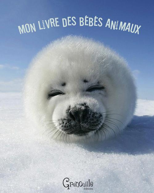 Emprunter MON LIVRE DES BEBES ANIMAUX livre