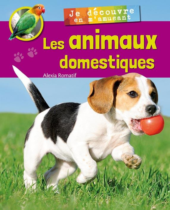 Emprunter JE DECOUVRE LES ANIMAUX DOMESTIQUES EN M'AMUSANT livre