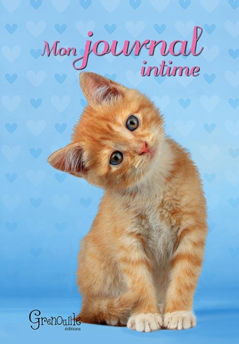 Emprunter Mon journal intime livre