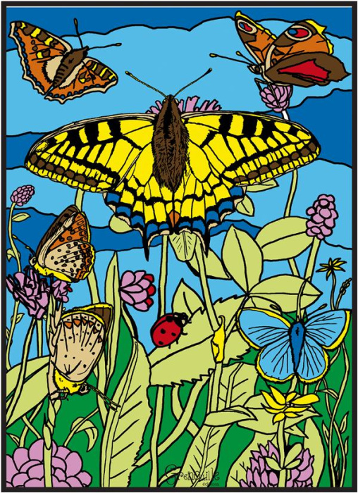 Emprunter PAPILLONS livre