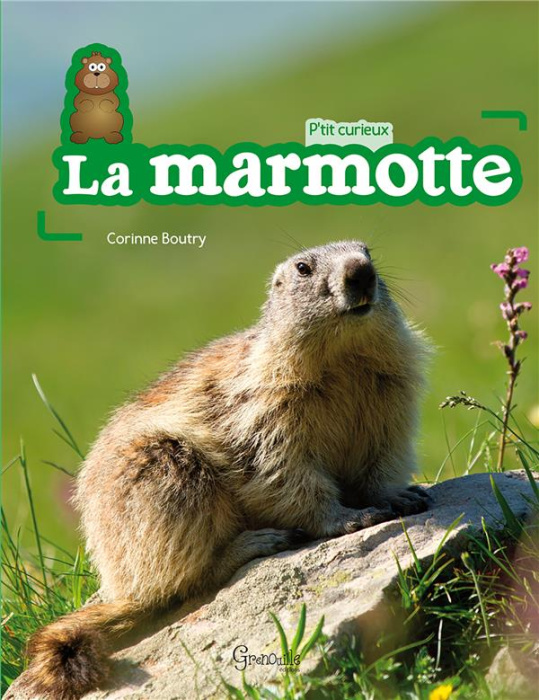 Emprunter La marmotte livre