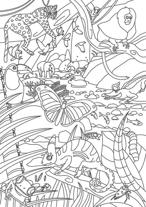 Emprunter DANS LA JUNGLE livre