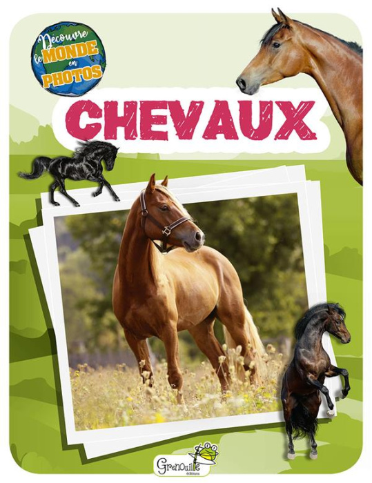 Emprunter Chevaux livre