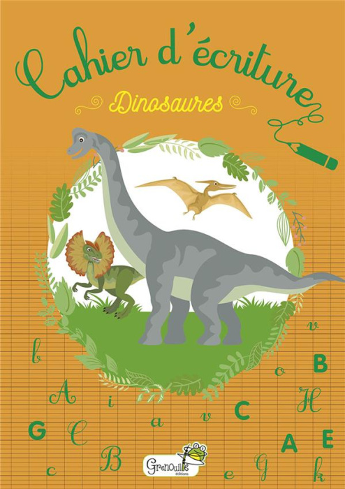 Emprunter Cahier d'écriture dinosaures livre
