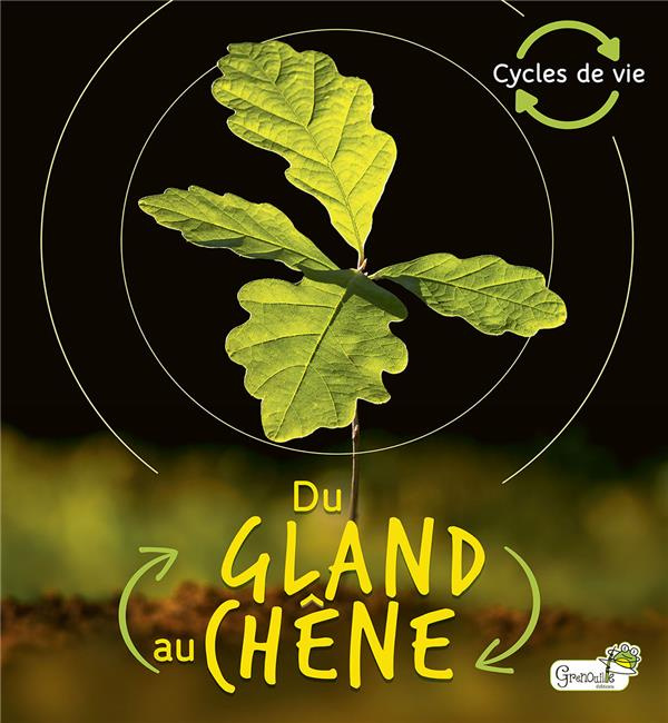 Emprunter Du gland au chêne livre