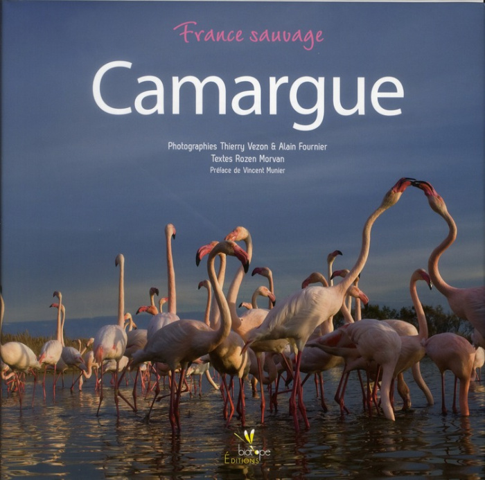 Emprunter CAMARGUE livre