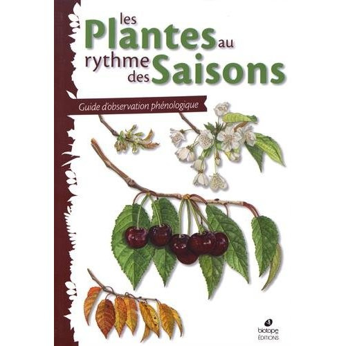 Emprunter Les plantes au rythme des saisons livre