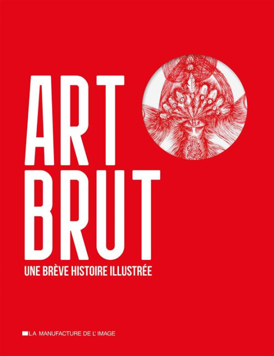Emprunter Art brut, une brève histoire illustrée livre