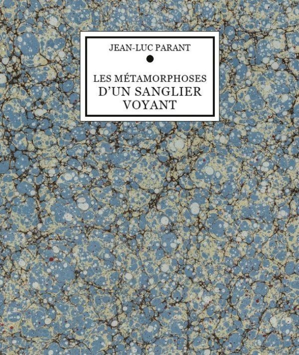 Emprunter Les métamorphoses d'un sanglier voyant livre