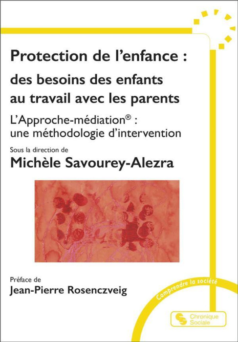 Emprunter Protection de l'enfance : des besoins des enfants au travail avec les parents. L'Approche-médiation livre