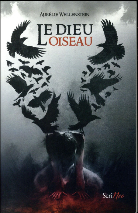 Emprunter Le dieu oiseau livre