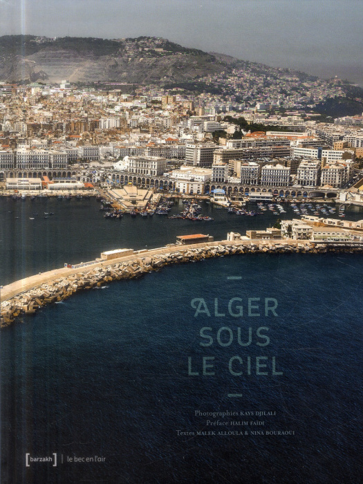 Emprunter Alger sous le ciel livre