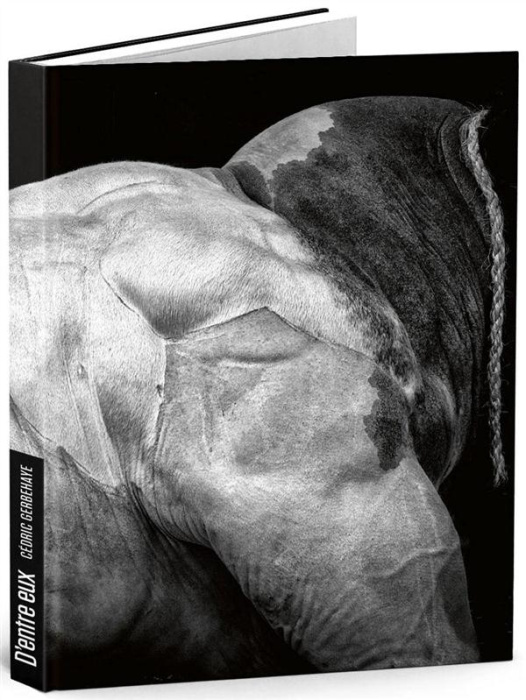 Emprunter D'entre eux livre