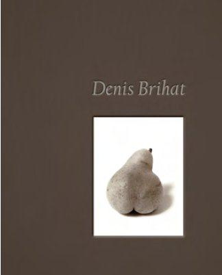 Emprunter DENIS BRIHAT - PHOTOGRAPHIES 1955-2012 livre
