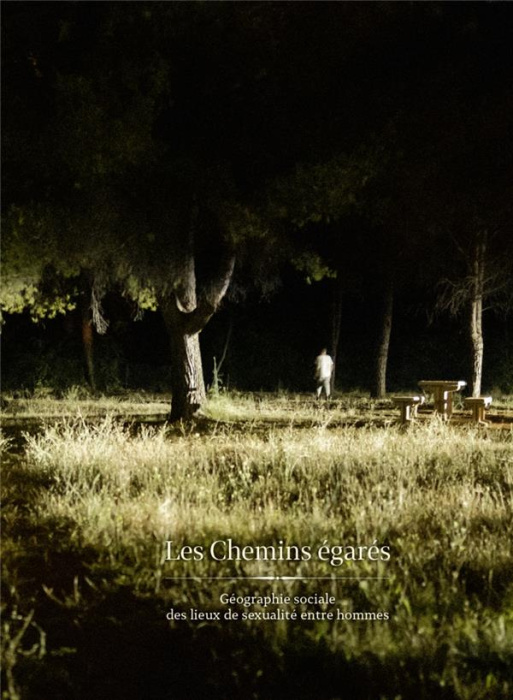 Emprunter Les chemins égarés. Géographie sociale des lieux de sexualité entre hommes livre