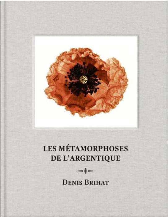 Emprunter Les métamorphoses de l'argentique. Denis Brihat livre